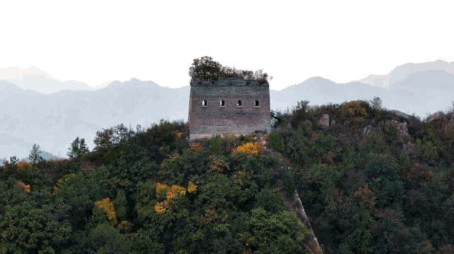 3.gif