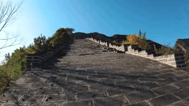 6.gif